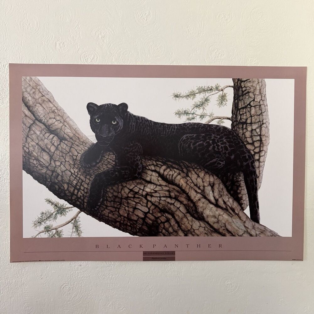 Vintage Jacquie Marie Vaux Black Panther Poster Print Endangered 1990